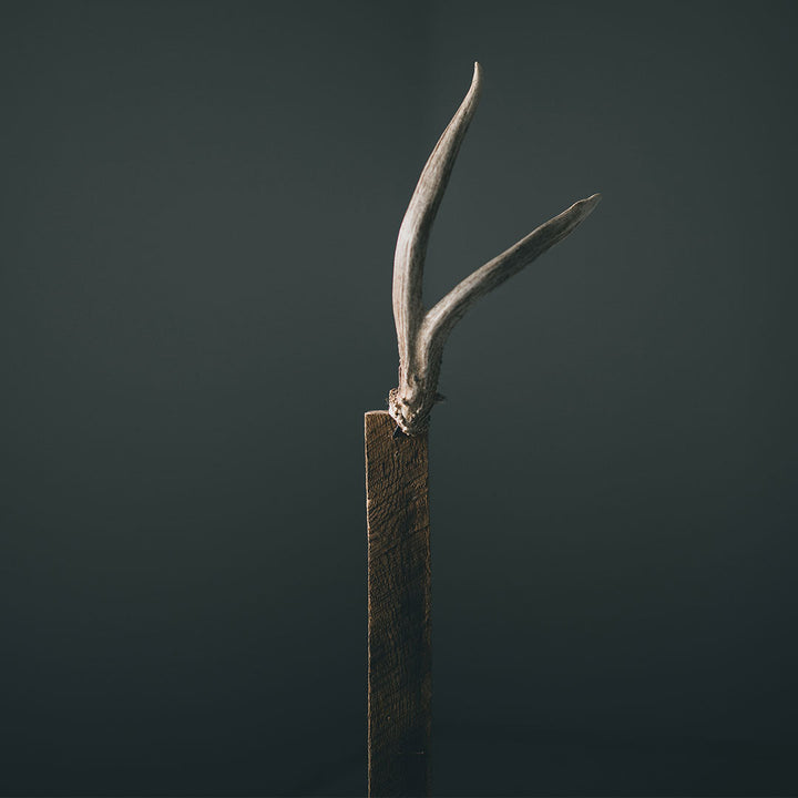 Antler Bar