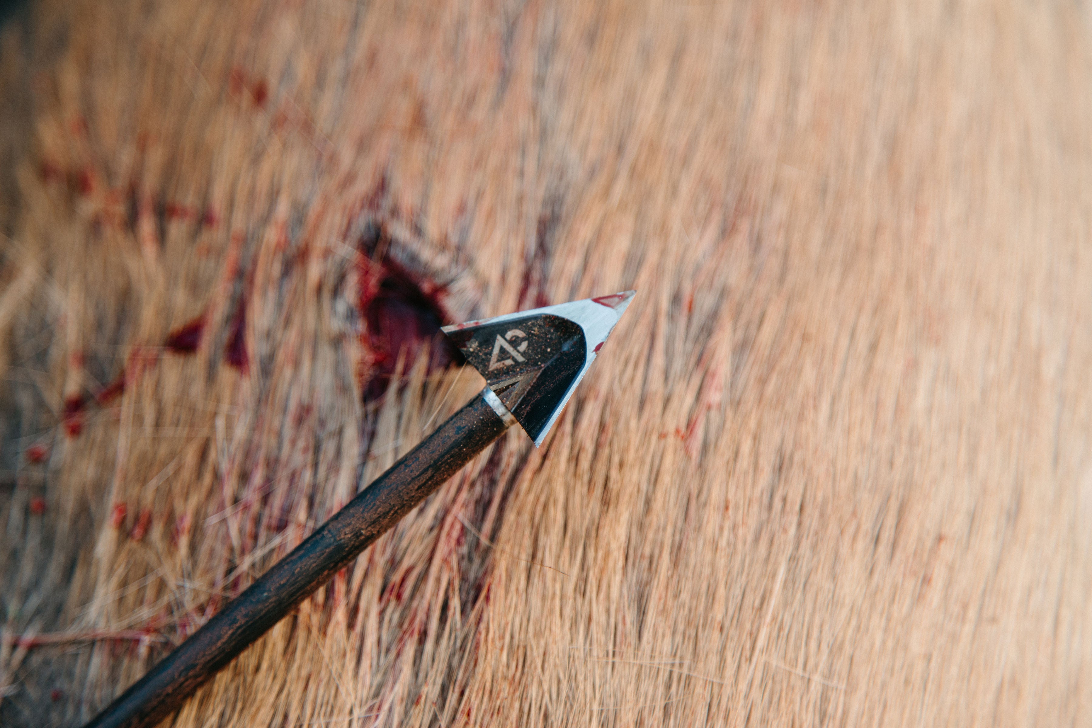 AC Hole Punch Broadhead | 100/125/150 Grain | VPA – Vantage Point