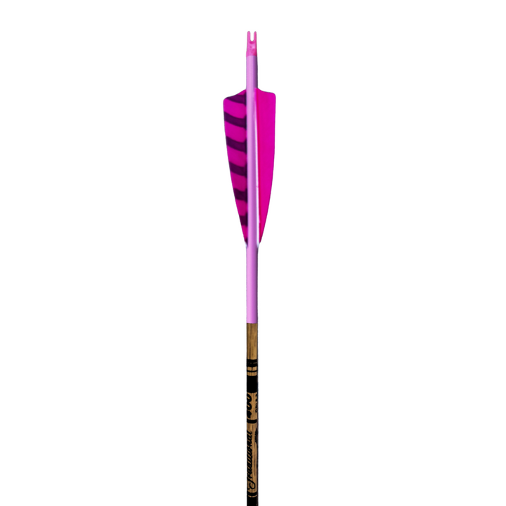 Gold Tip Traditional Arrows - Pink Out